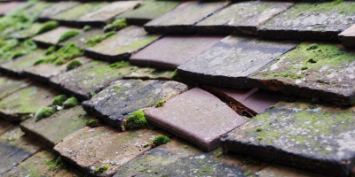 Kensworth Lynch roof repair costs